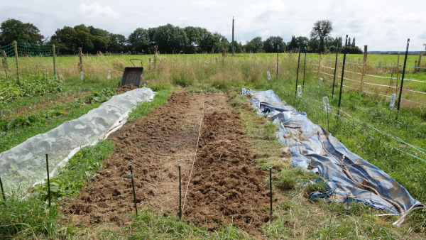 Photo de planches en cours de réalisation