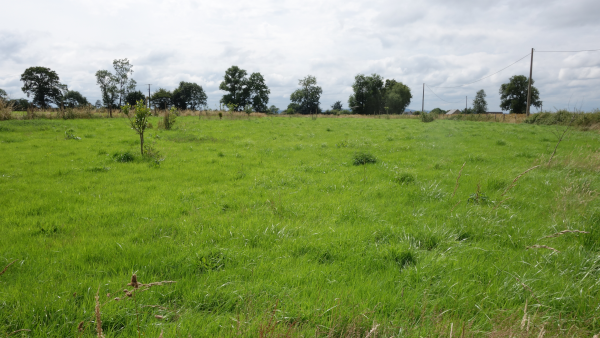 Photo de prairie
