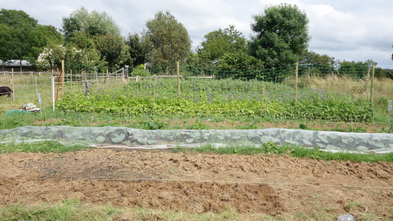 Vue du jardin'